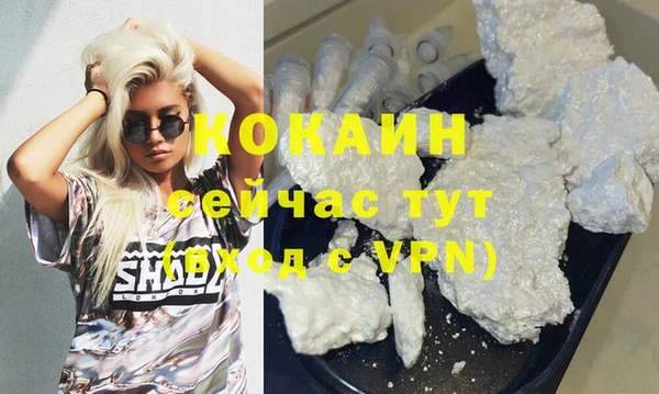 прущие грибы Абинск