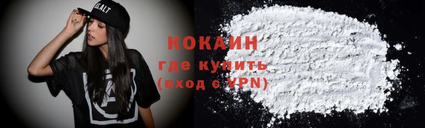 прущие грибы Абинск