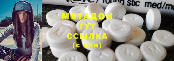 прущие грибы Абинск
