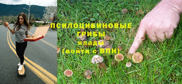 эйфоретик Алексин