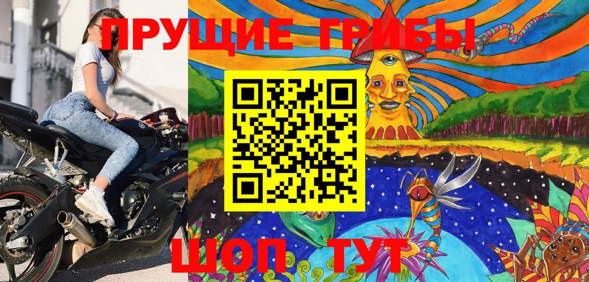 Псилоцибиновые грибы ЛСД  Вход с VPN  Дивногорск 