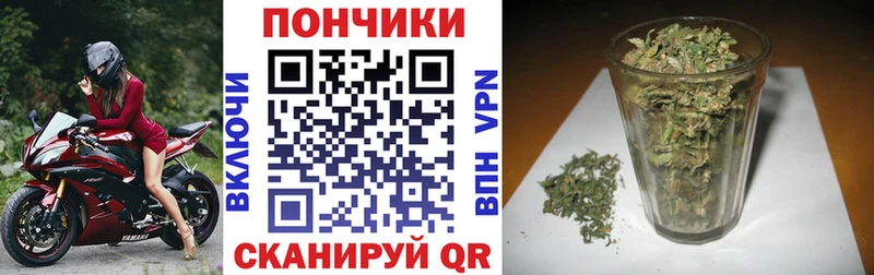 Шишки марихуана ГИДРОПОН Дивногорск